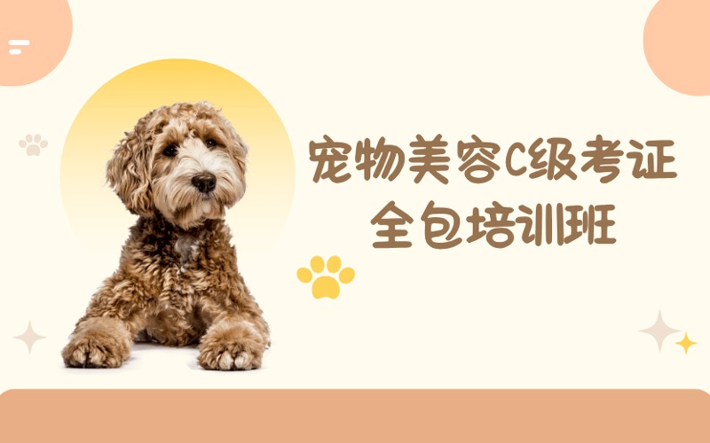 成都宠物美容C级考证全包培训班