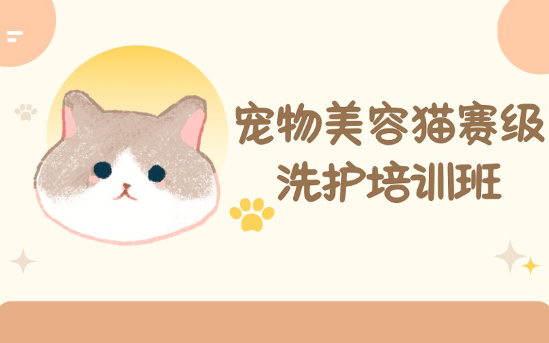 成都宠物美容猫赛级洗护培训班