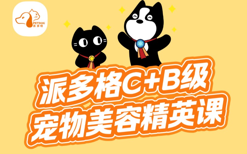 C+B级宠物美容精英课程