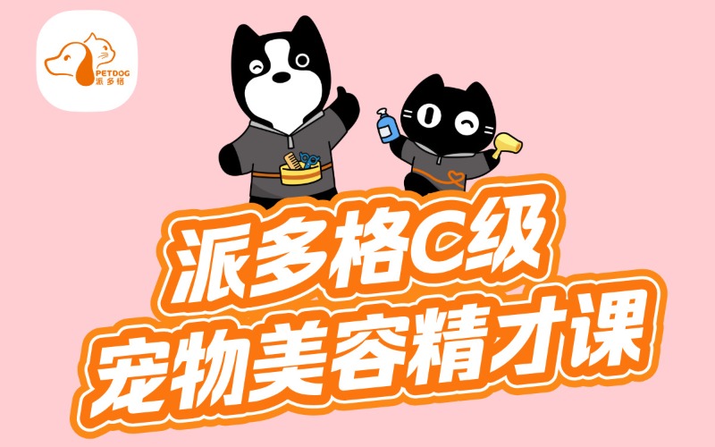 c級(jí)寵物美容精才課程