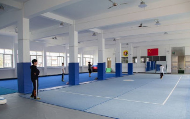 杭州体育技巧专项体育单招培训课