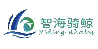 深圳智海骑鲸教育