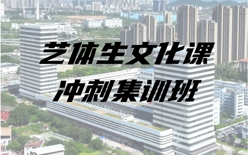 廈門藝體生文化課沖刺集訓(xùn)班