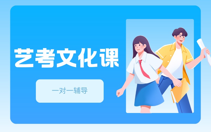藝考文化課一對一輔導精品班
