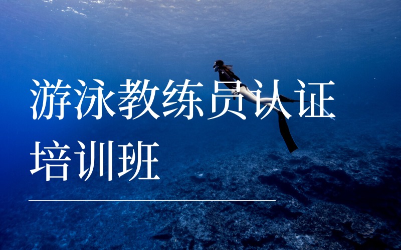 合肥國家職業(yè)游泳教練員認證培訓班
