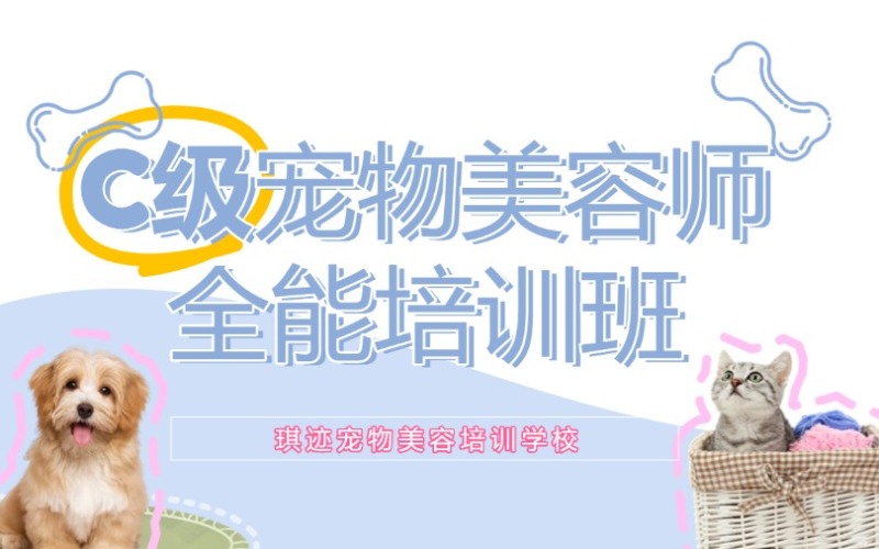 哈爾濱C級寵物美容師全能培訓(xùn)班