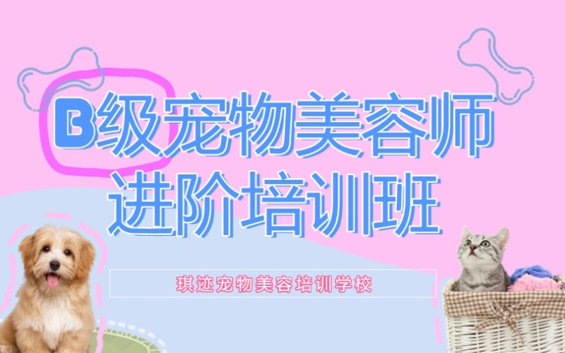 ??哈爾濱寵物美容師B級賽級進階培訓(xùn)班