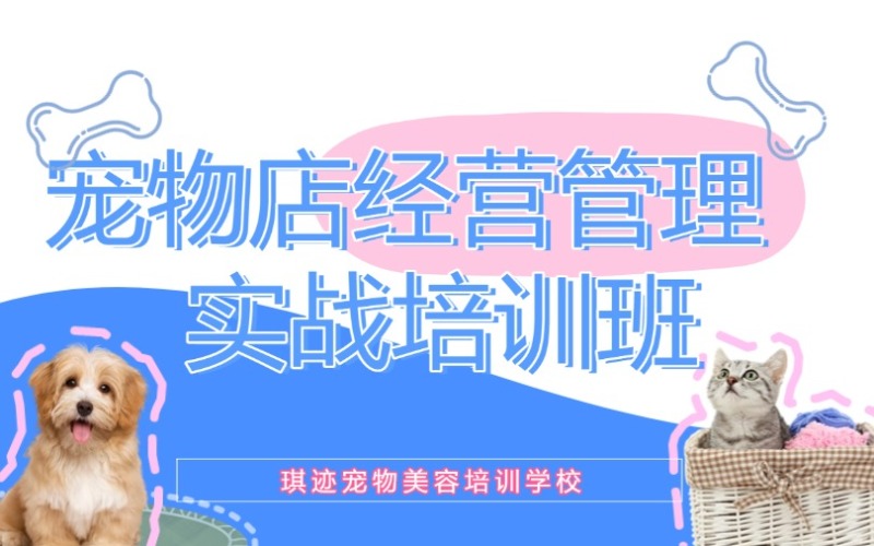 哈尔滨宠物店经营管理实战培训班
