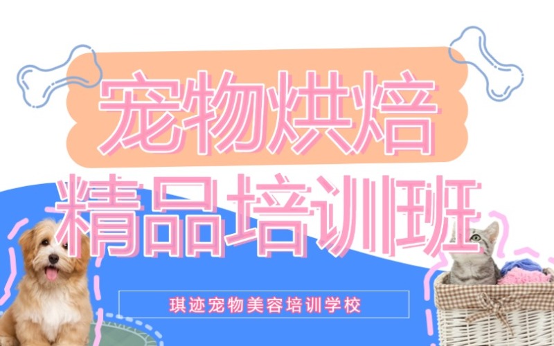 哈爾濱寵物烘焙精品培訓(xùn)班