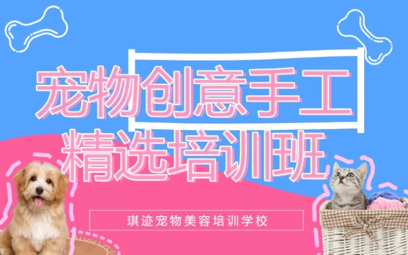 哈爾濱寵物創(chuàng)意手工培訓(xùn)班