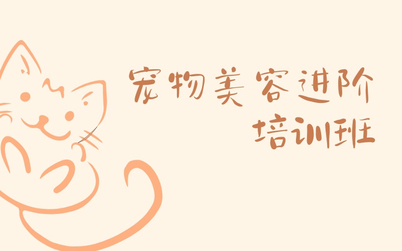 深圳寵物美容進(jìn)階培訓(xùn)班