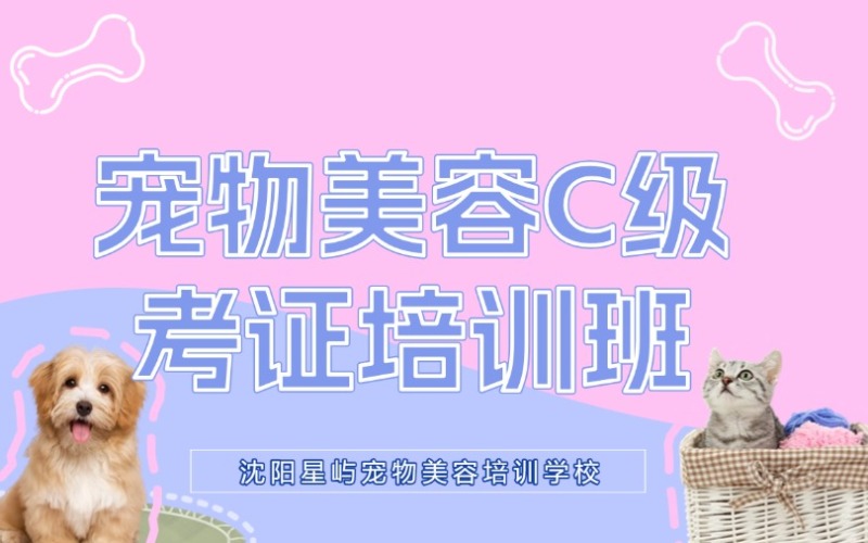 沈阳基础宠物美容C级考证培训班