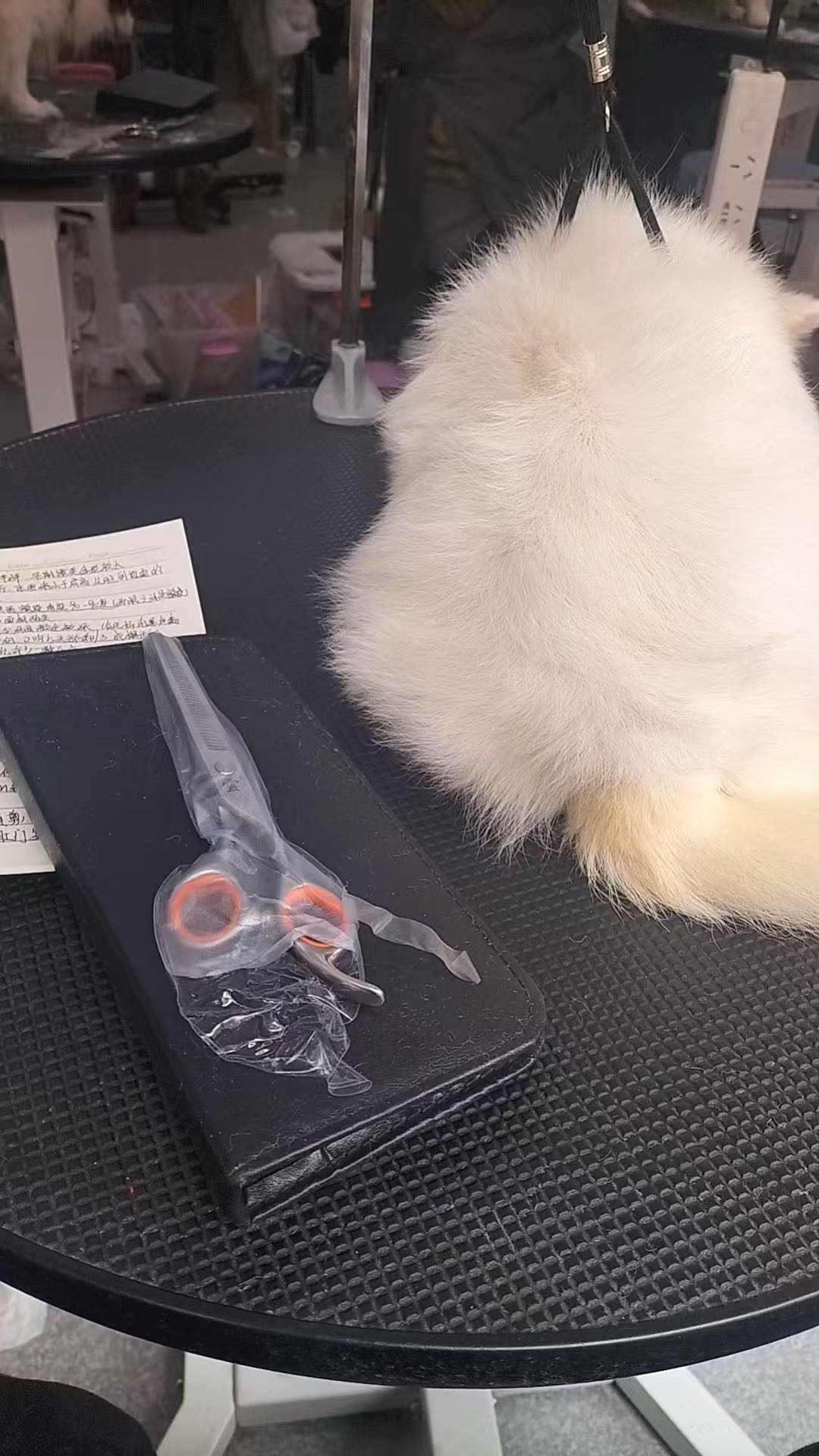 環(huán)境/教學(xué)