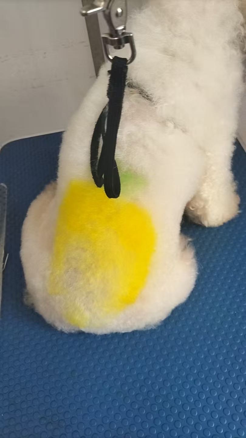 環(huán)境/教學(xué)