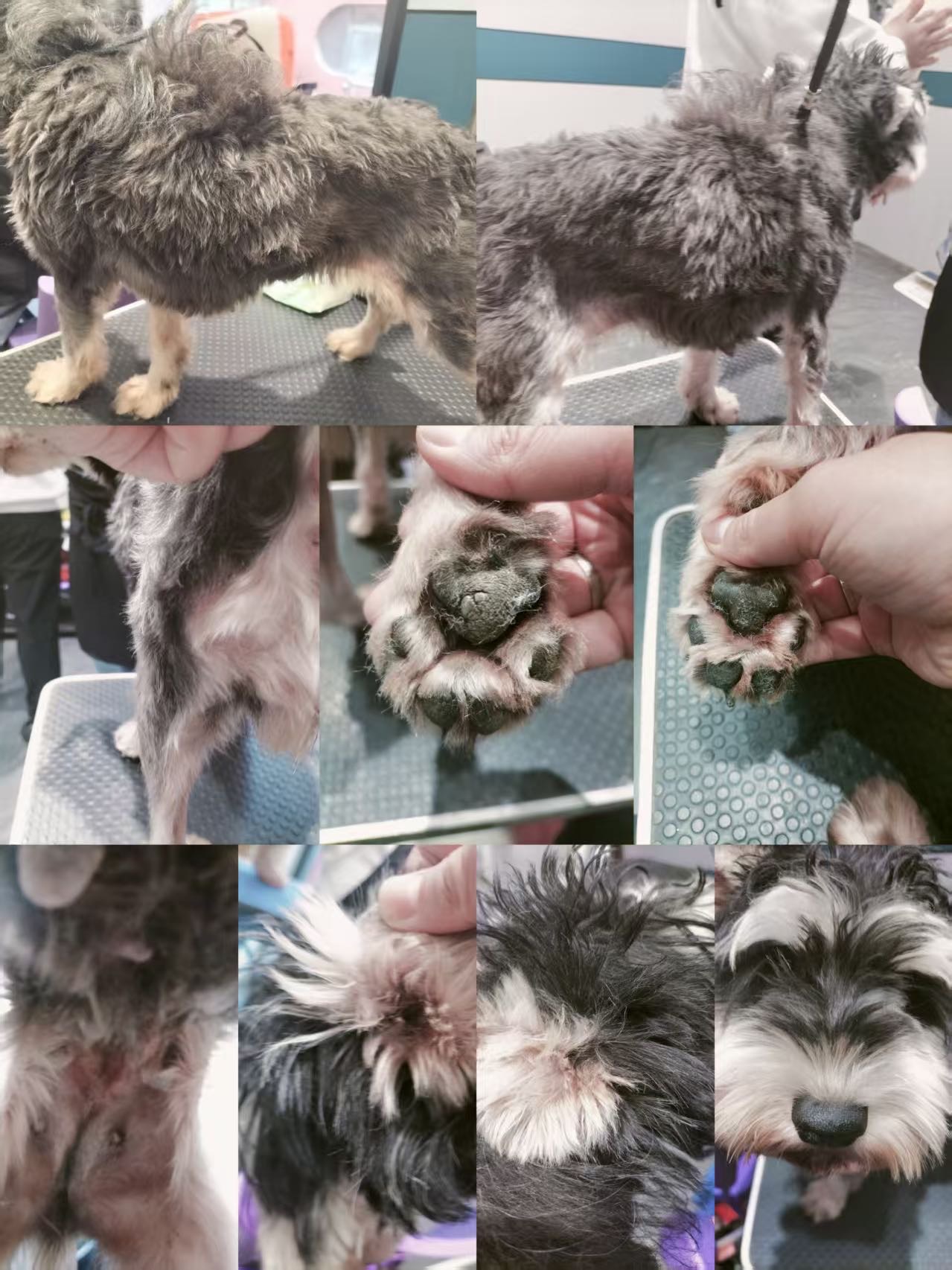 環(huán)境/教學(xué)