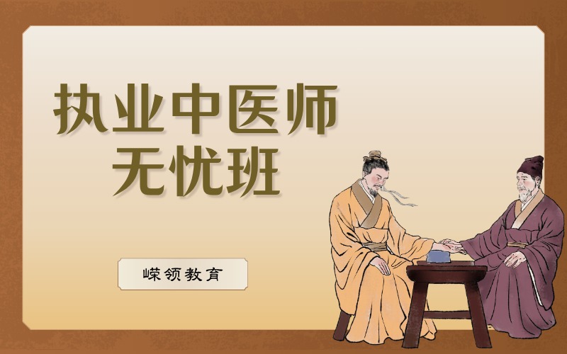執(zhí)業(yè)中醫(yī)師無憂培訓(xùn)班
