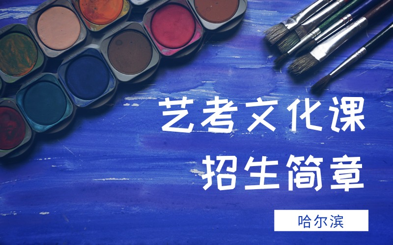 哈尔滨艺考文化课招生简章