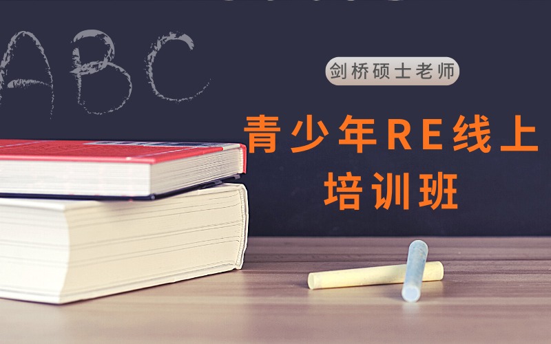 青少年RE线上课程培训班