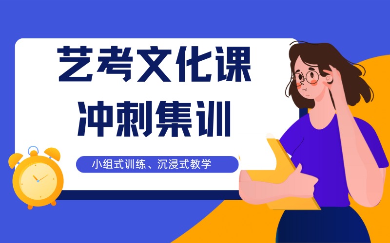 苏州艺考文化课冲刺集训班