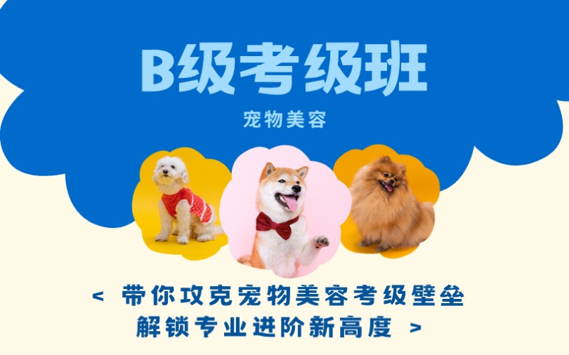 鄭州寵物美容B級考級班