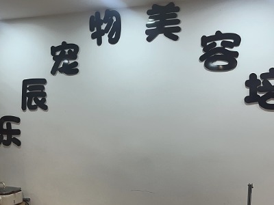 鄭州樂辰寵物美容培訓學校的環(huán)境怎么樣，教學環(huán)境好不好？