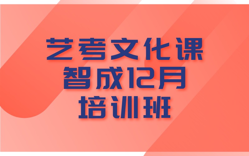 武汉艺考文化课智成12月培训班