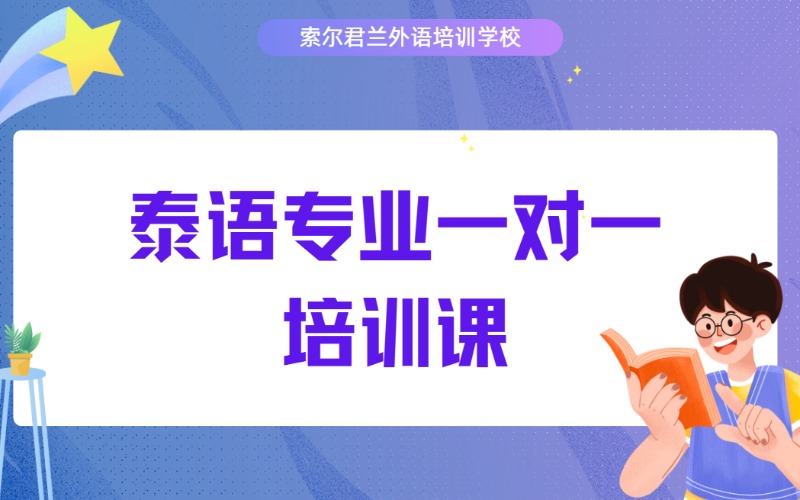 泰语专业一对一培训课
