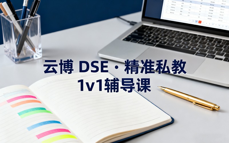 香港DSE考试精准私教1v1辅导班