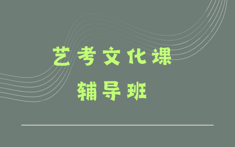 北京艺考文化课冲刺辅导班