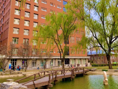 一方天地，滋养成长——走进北京开心飞翔教育的学习空间