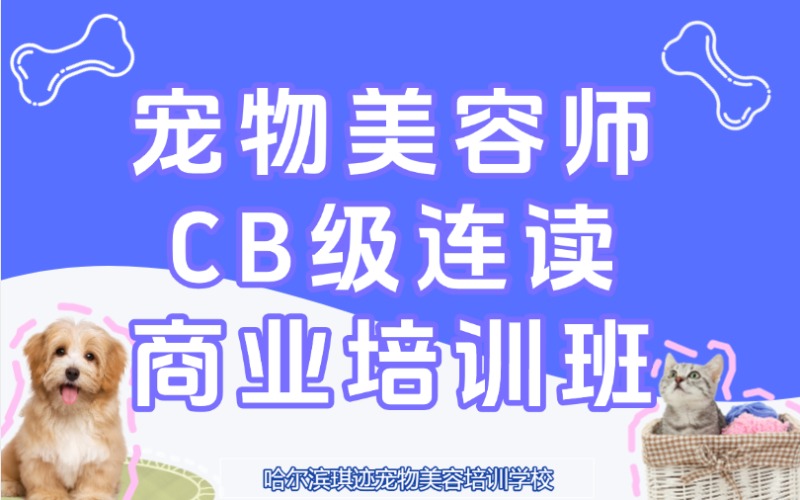 哈尔滨宠物美容师CB级连读商业培训班