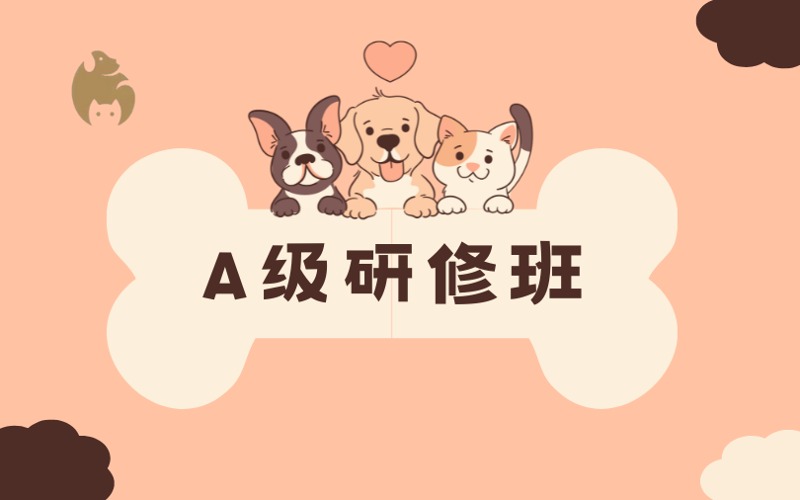 绵阳宠物美容A级研修进阶培训班
