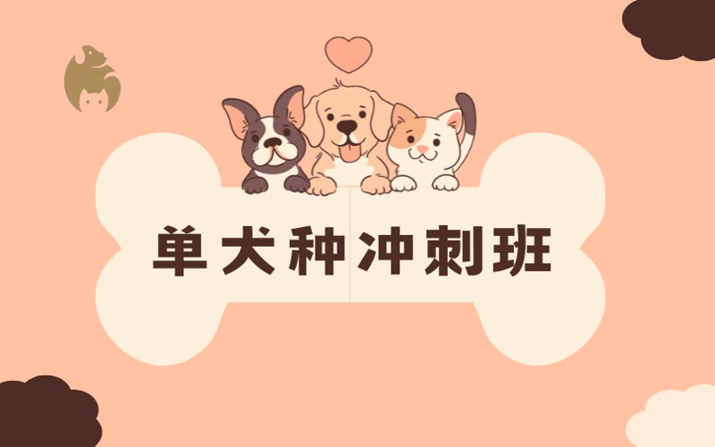 绵阳单犬种冲刺培训班
