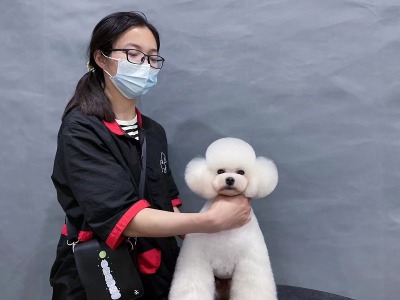 绵阳纳美多宠物美容培训学校师生风采一览