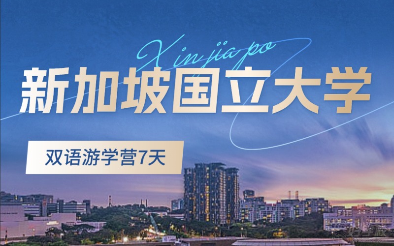 洛阳新加坡国立大学双语7天研学营
