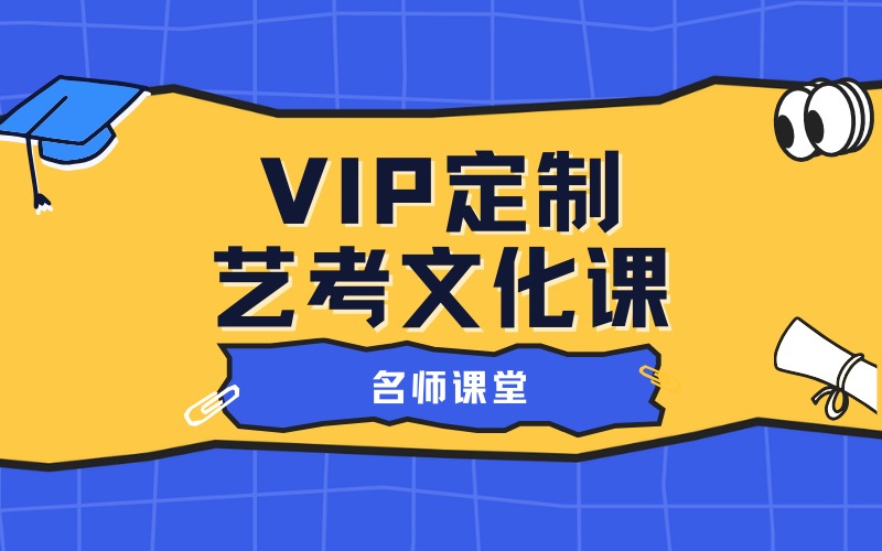 广州VIP定制艺考文化课培训班