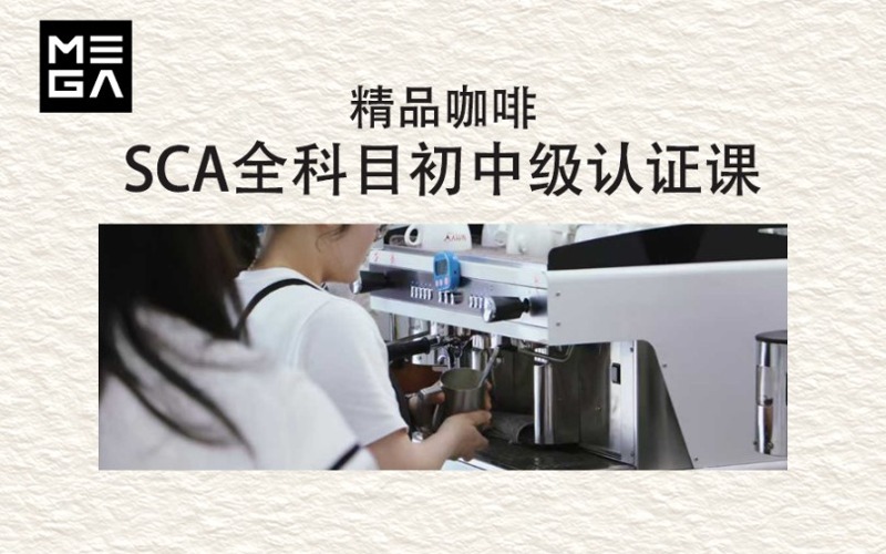 SCA咖啡师全科目初中级认证课程
