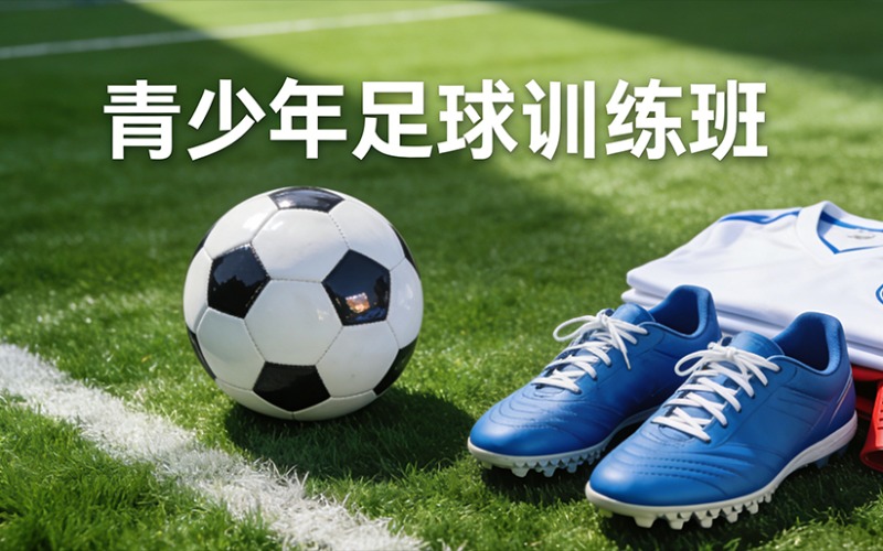 杭州青少年足球训练班