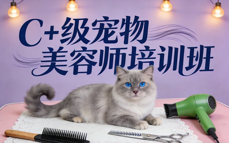 上海c+级宠物美容师培训班