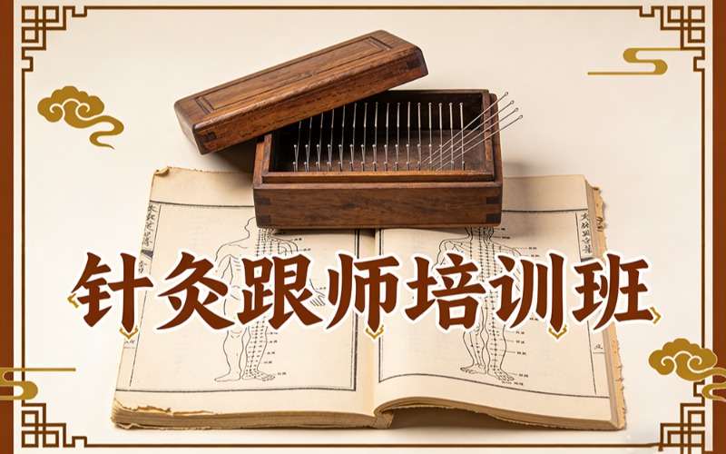 刘红云针灸跟师培训班