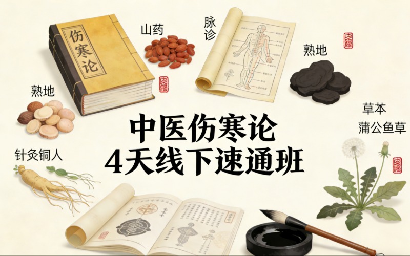 中医伤寒论4天线下速通班