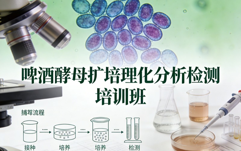 啤酒酵母扩培理化分析检测方法培训班