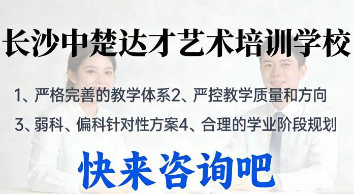 长沙中楚达才艺术培训学校