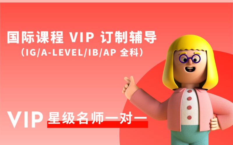 顺义国际课程 VIP 一对一订制辅导