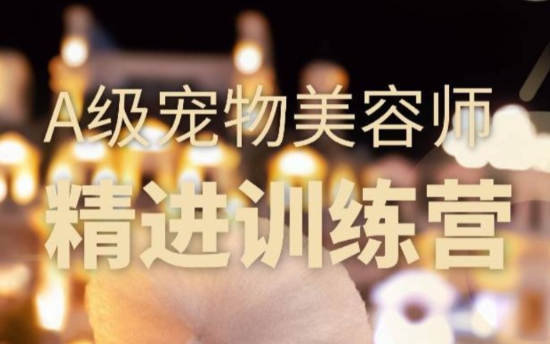 A级宠物美容师精进训练营