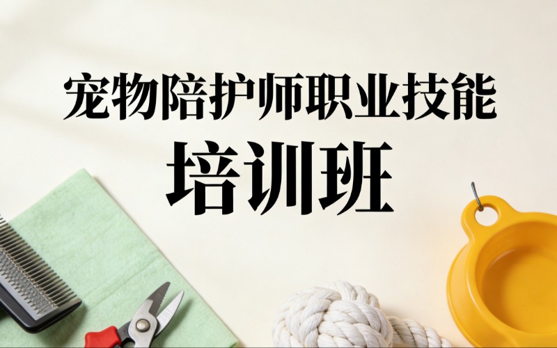 宠物陪护师职业技能培训班