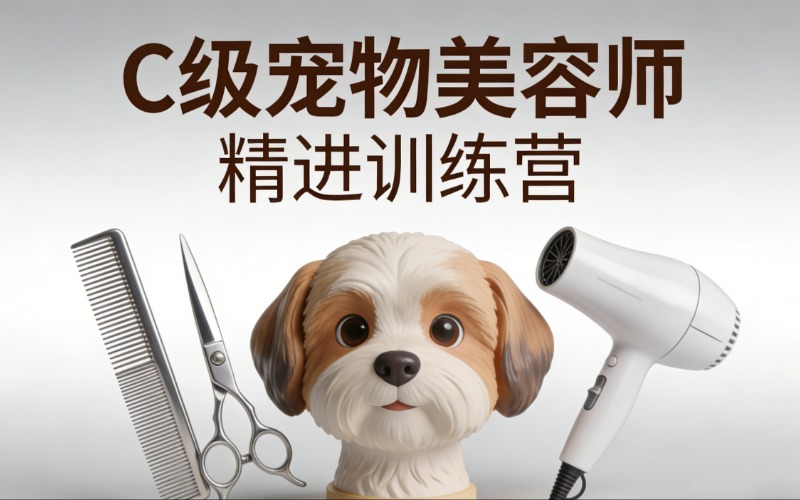 C级宠物美容师精进训练营