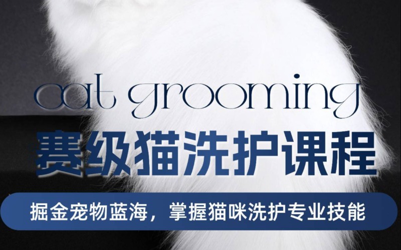大连/沈阳/哈尔滨赛级猫洗护课程培训课程