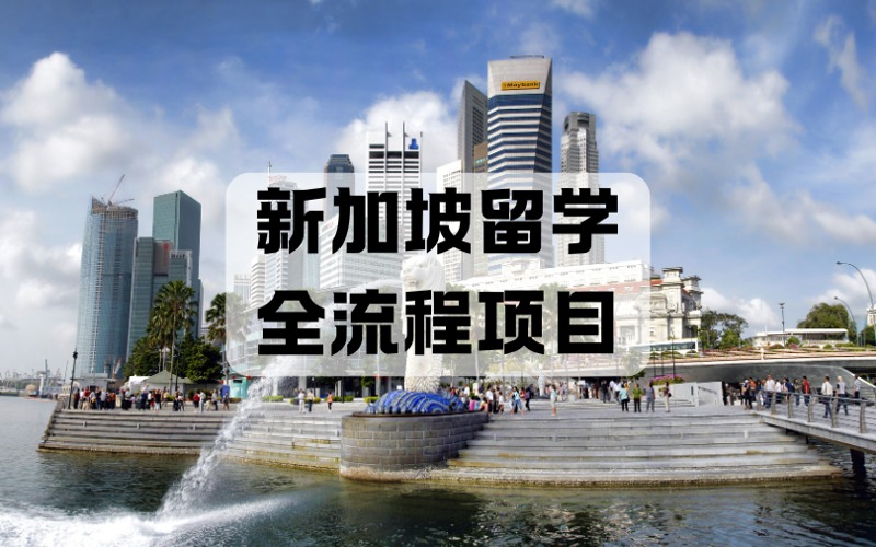 西安新加坡留学全流程服务项目