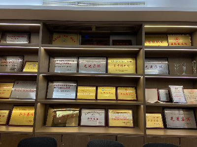 温州晟世职业技能培训学校机构荣誉展示